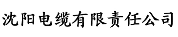 综合欧美日韩国产成人高清电缆厂logo